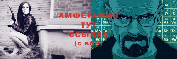 крисы Абаза
