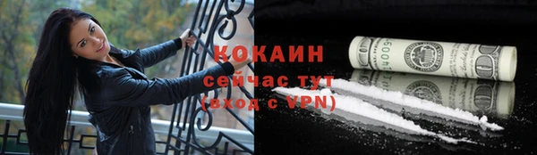 кокс Алексин