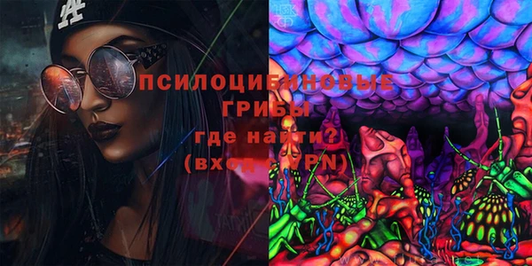 кокс Алексин