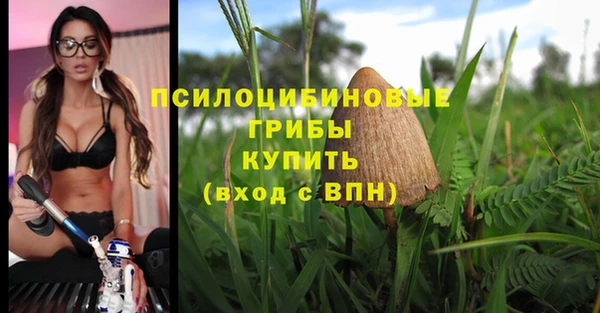 a pvp Алзамай