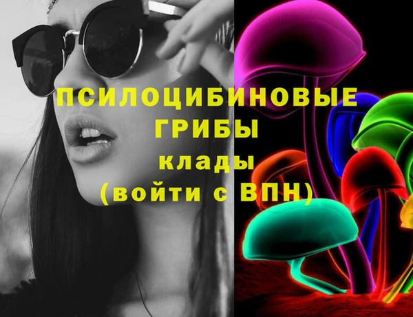 кокс Алексин