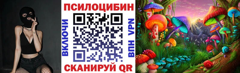 магазин    Южно-Сухокумск  Псилоцибиновые грибы Magic Shrooms 